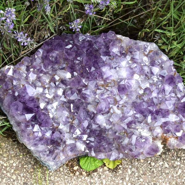 Amethyst Drusenstück XL ca. 28 x 23 cm N°309